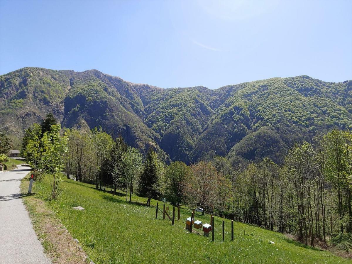 Ostello Del Parco Di Cicogna Exterior photo